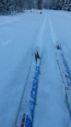 10290051_10152994986212103_8541779147106315225_n