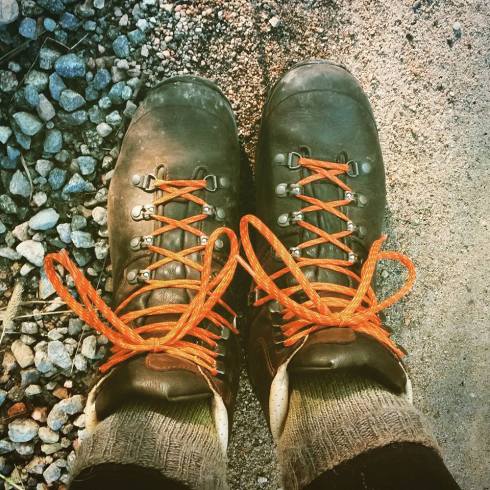 11703372_10153447461917103_863169640058355852_n